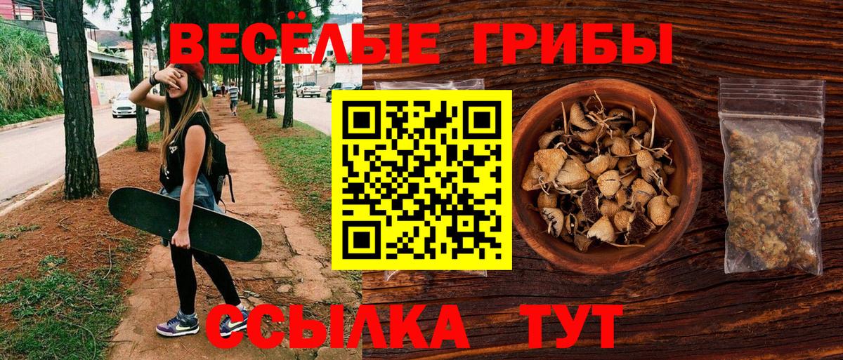 Котовск  Галлюциногенные грибы мицелий  Галлюциногенные грибы Cubensis  Вход с VPN 